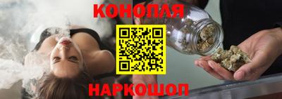 крисы Донской
