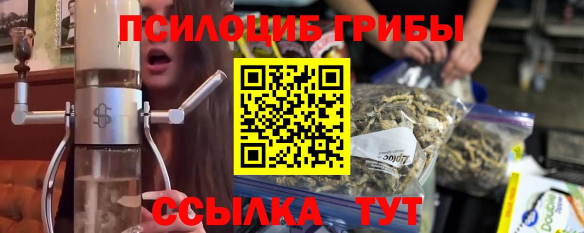 Можга  Псилоцибиновые грибы мухоморы  Вход с VPN  Псилоцибиновые грибы Magic Shrooms 